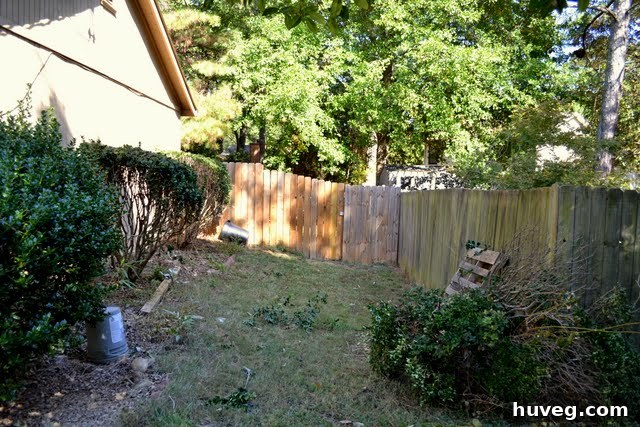 Bare ground after bush removal, showing a clear area with potential for a new walkway or garden design.