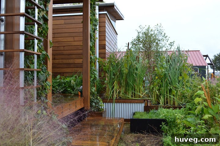 Beautiful marsh landscaping surrounding Maryland's 'Watershed' home, designed for advanced water recycling and sustainability