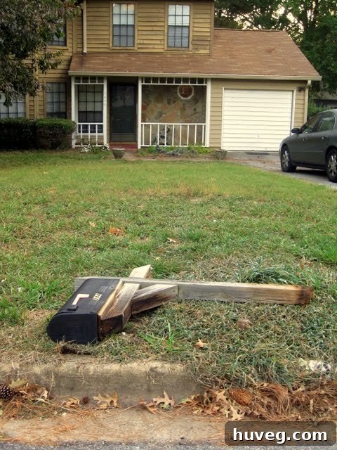 img 1297 1
