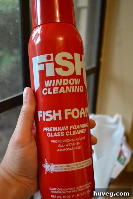 Fish Foam window cleaner can and a dog looking out a window