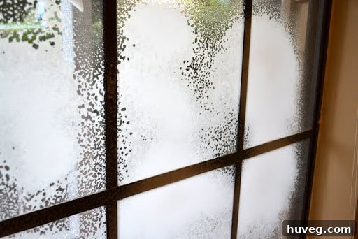 Close-up of Fish Foam being sprayed onto a dirty window