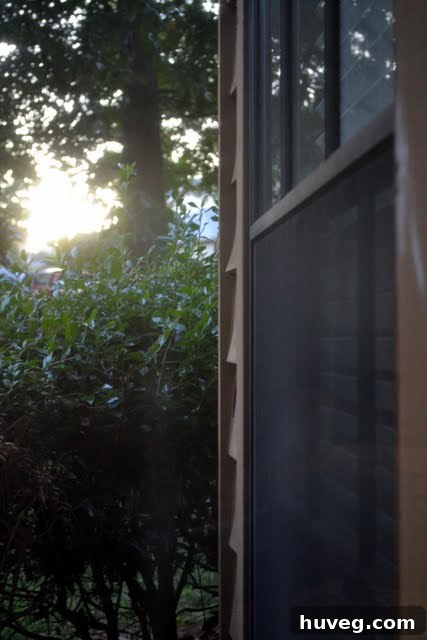 Clear view through a freshly cleaned window