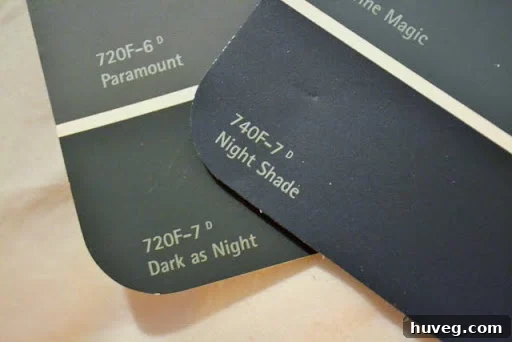 Behr paint color chips showing Dark as Night and Night Shade