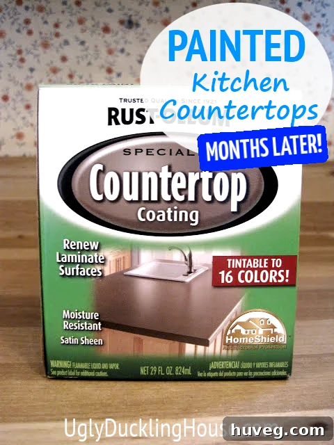 Overview of painted kitchen countertops and floors after several months of use