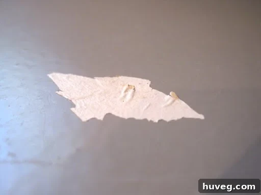 Stain on painted countertops from wet paper or ink
