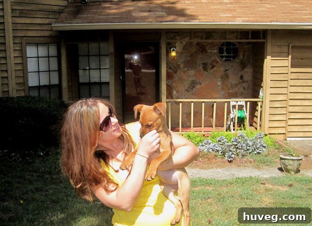 Charlie looking away during a photo attempt, demonstrating typical puppy lack of cooperation and playful distraction.