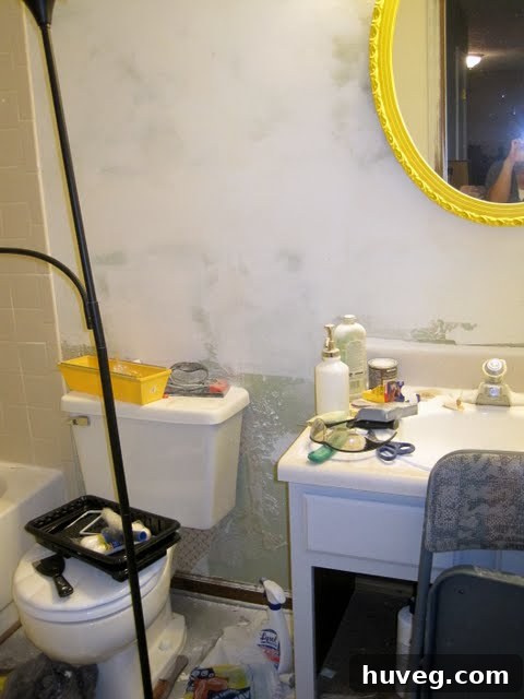 img 1372 1
