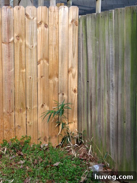 The process of trimming overgrown shrubs, highlighting the extent of the work