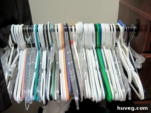 Organized section of a closet.