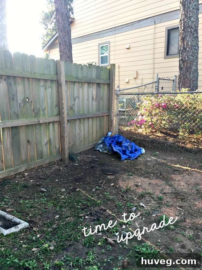 left corner of backyard