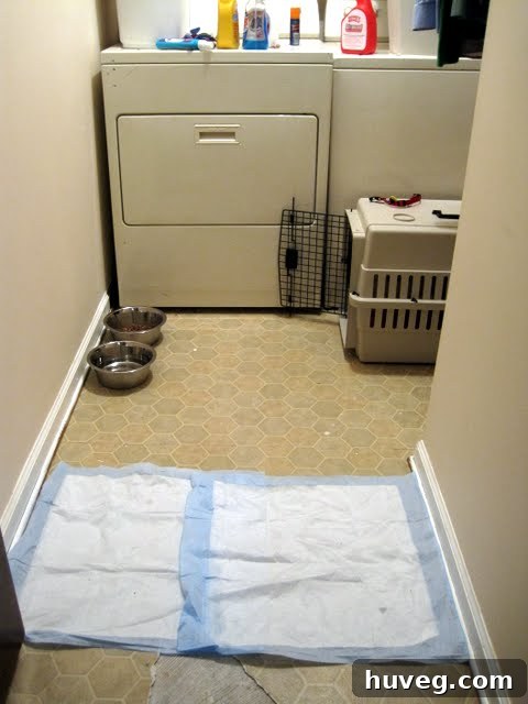 img 1378 2