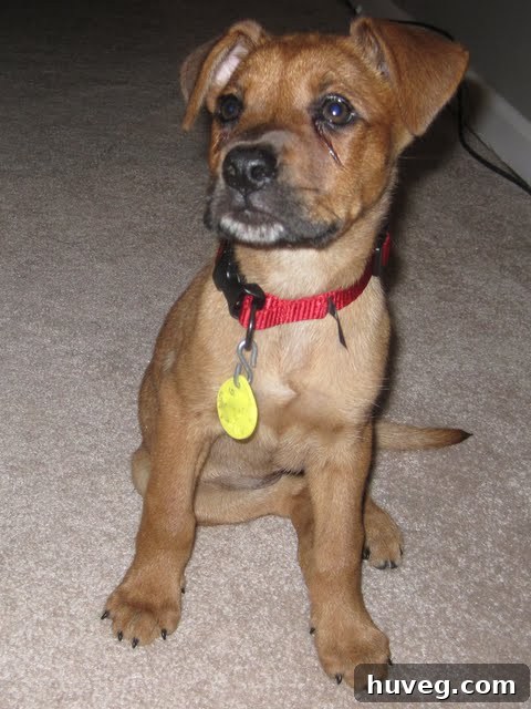 Close-up of Charlie Bug's face, showing her teary eyes
