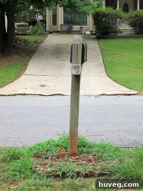 img 1382 1