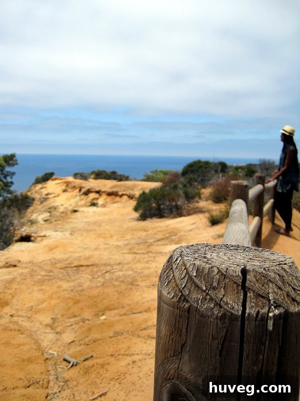 Hiking Torrey Pines - La Jolla, California resort