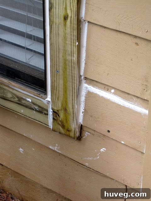 Another angle of the painted exterior, highlighting the even application of paint on the stucco texture and the overall enhanced look of the renovated area.