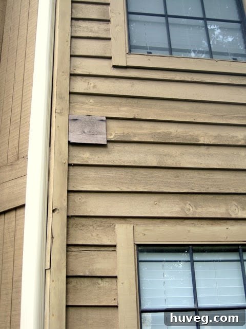 The original state of the house exterior showing significant signs of age and neglect, including worn siding, faded paint, and overgrown foliage, before renovation work began.