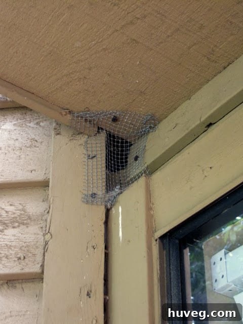 Detailed view of a small hole near the front window and porch area, revealing poor previous repair attempts with crumbling materials and exposed damage.