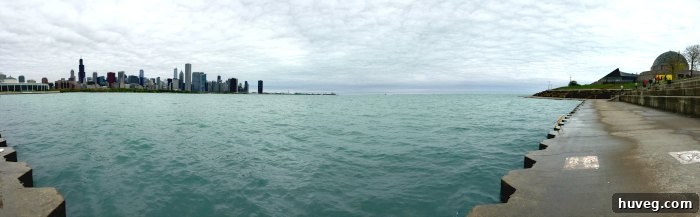 The iconic Chicago skyline viewed from the waterline, featuring prominent buildings against a clear sky, with Museum Campus and Lake Michigan visible.