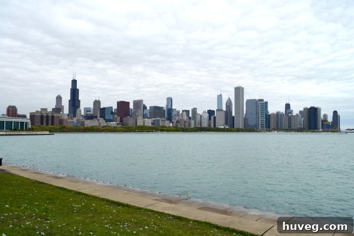 Expansive view of the Chicago skyline, featuring its distinctive architecture rising majestically along the lakefront under a vibrant sky.
