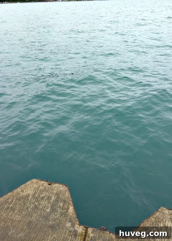 Close-up of the strikingly clear, deep blue waters of Lake Michigan, reflecting the Chicago sky.