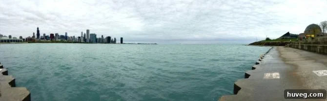 Chicago skyline reflecting in the water, inspiring the unique texture of the shower tile