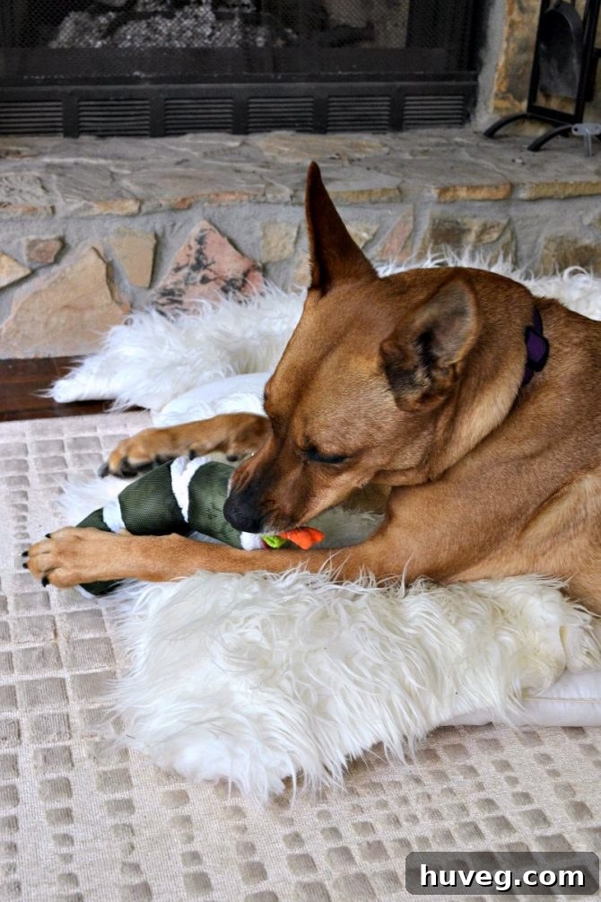 Charlie eating sushi toy