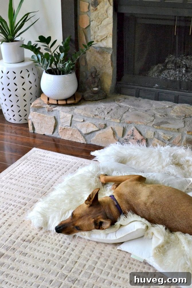 Charlie lounging in front of the fireplace
