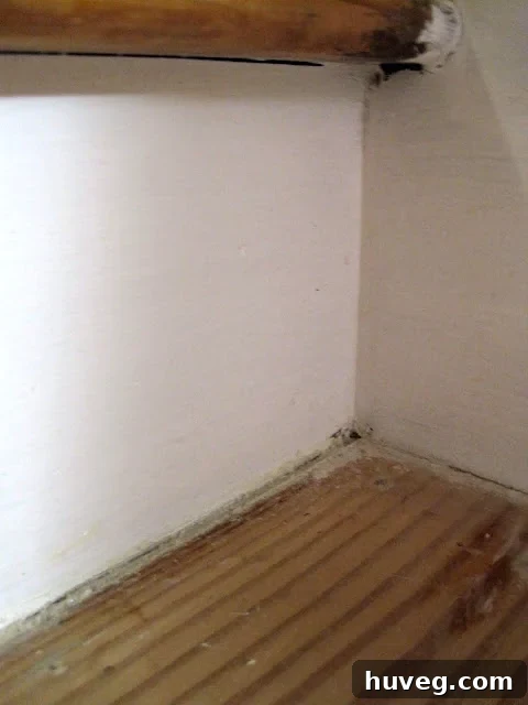 Close-up of trimmed GREAT STUFF foam in a stair gap