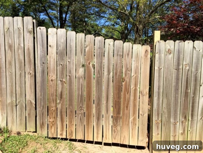 fixed fence gate that can now open properly