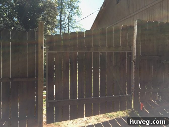 fence - other side of the fence