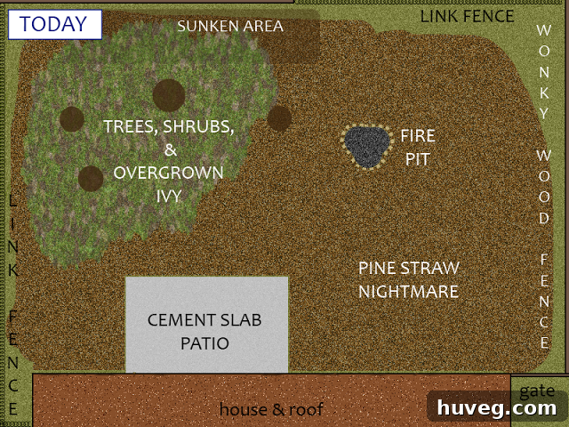 A conceptual drawing of the existing backyard layout, illustrating various problem areas and the basic footprint.