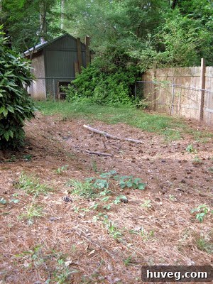 A section of a neglected backyard with uneven ground, indicating a potential sinkhole, and overgrown plants near a fence.