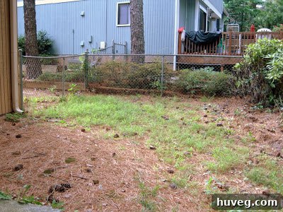 Another view of the neglected backyard, featuring a chain-link fence separating properties and an overall messy appearance.