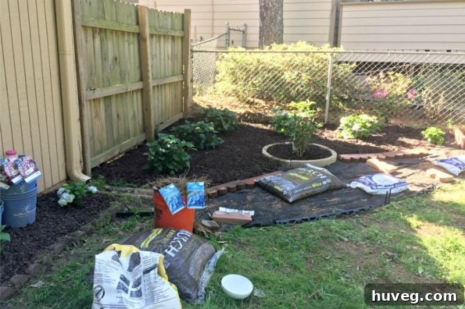 Spring Planting in the Corner Garden