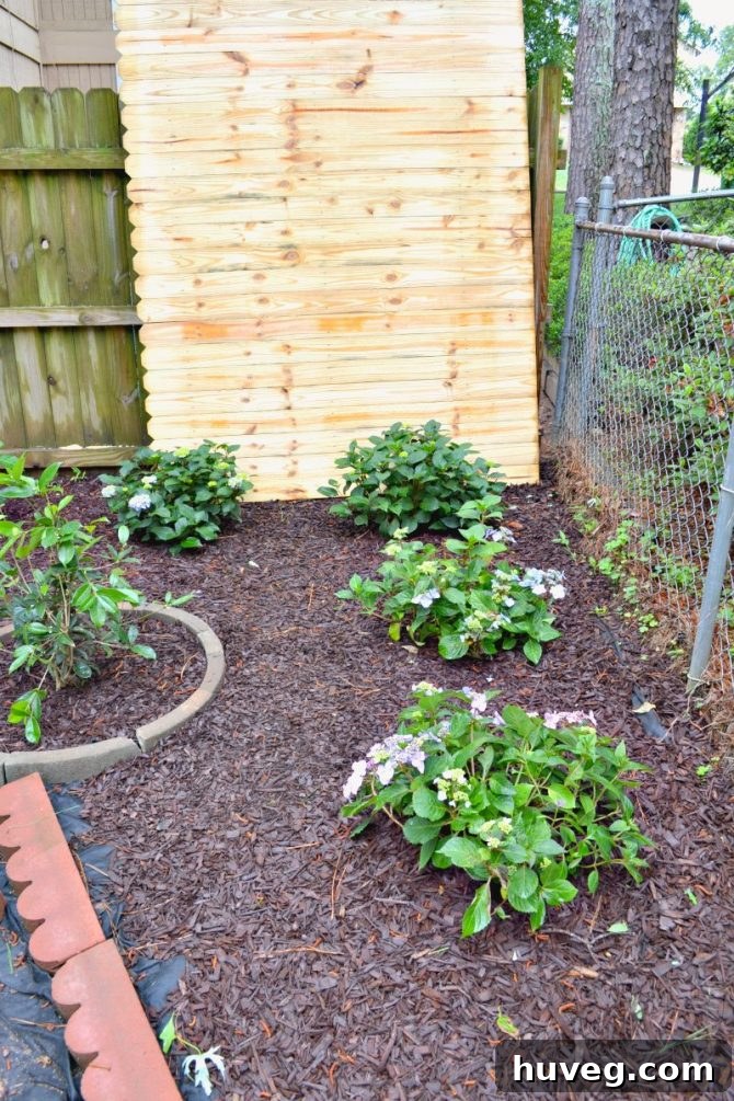 Bloomstruck Hydrangea Corner Garden Display