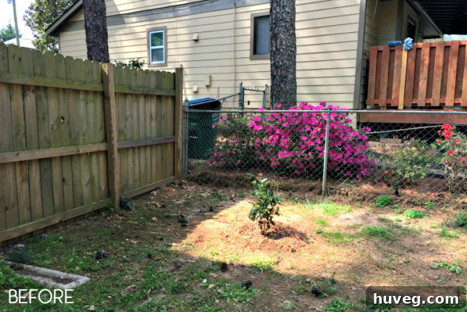 Corner Garden Area Before Starting Renovation