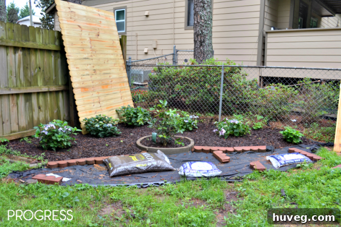 Corner Garden Progress with New Plantings
