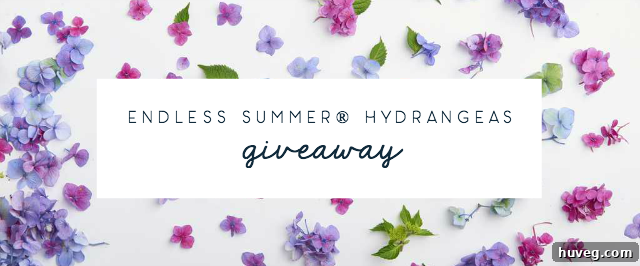 Endless Summer Giveaway Promotion Image