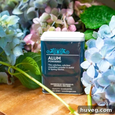 Alum is a spice that can be found in most grocery stores and keeps hydrangea bouquets from wilting - use alum to keep hydrangea bouqets fresh