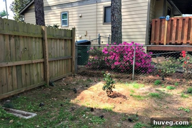Corner Garden Area Before Renovation