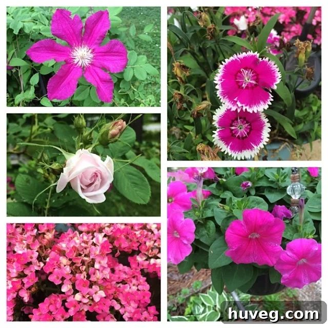 pink flowers at mom and dads