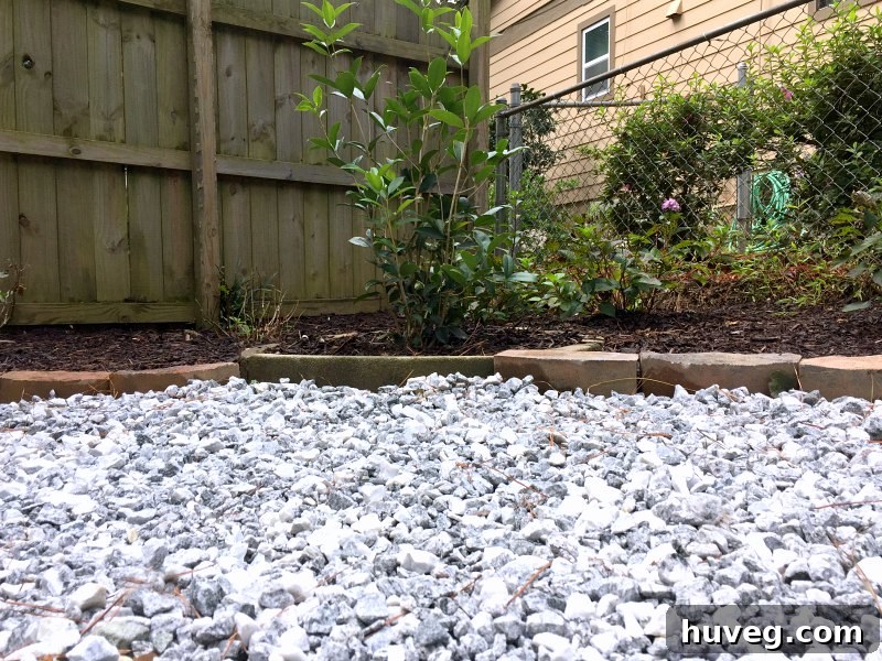 Overview of the newly mulched hydrangea garden and the adjacent gravel area with fresh edging stones, creating a neat and organized outdoor space. The hydrangeas appear well-prepared for the upcoming seasons.