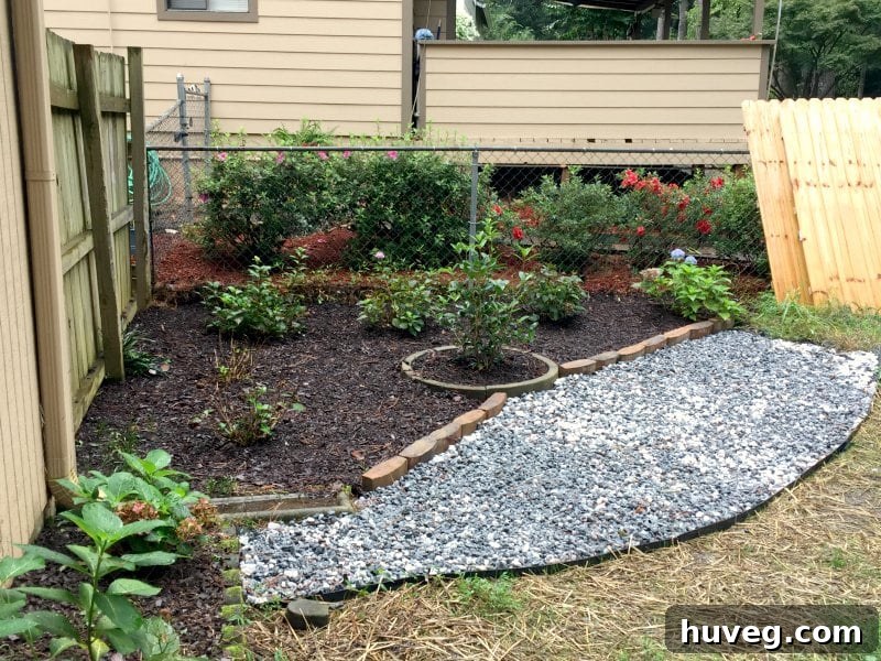 Hydrangea corner garden featuring freshly laid wet gravel and new stonework edging. The colors of the gravel are vibrant and distinct against the green foliage of the hydrangeas.