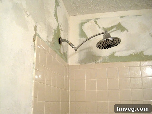 img 1429 1