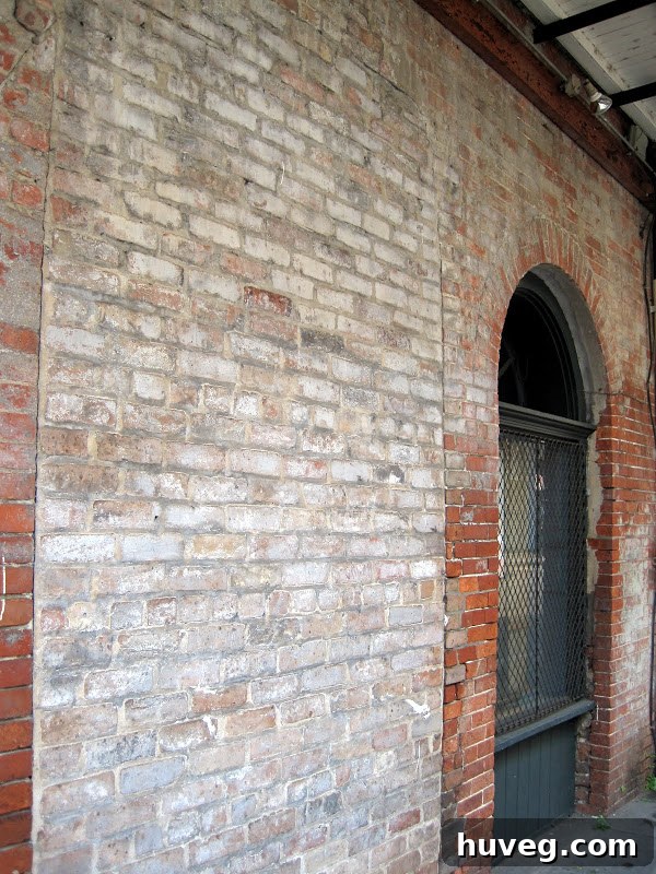 New Orleans - old brick wall