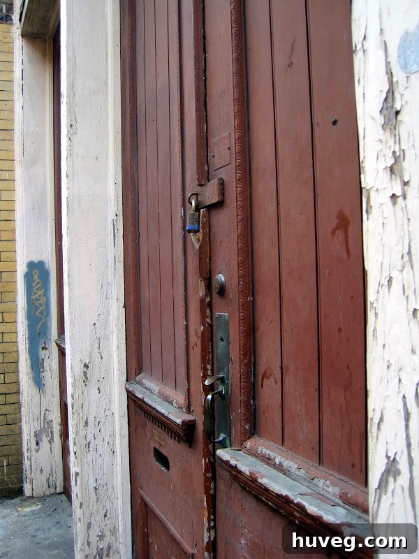 New Orleans - old red door with peeling paint