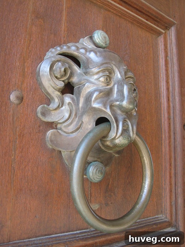 New Orleans - closeup of old door knockers