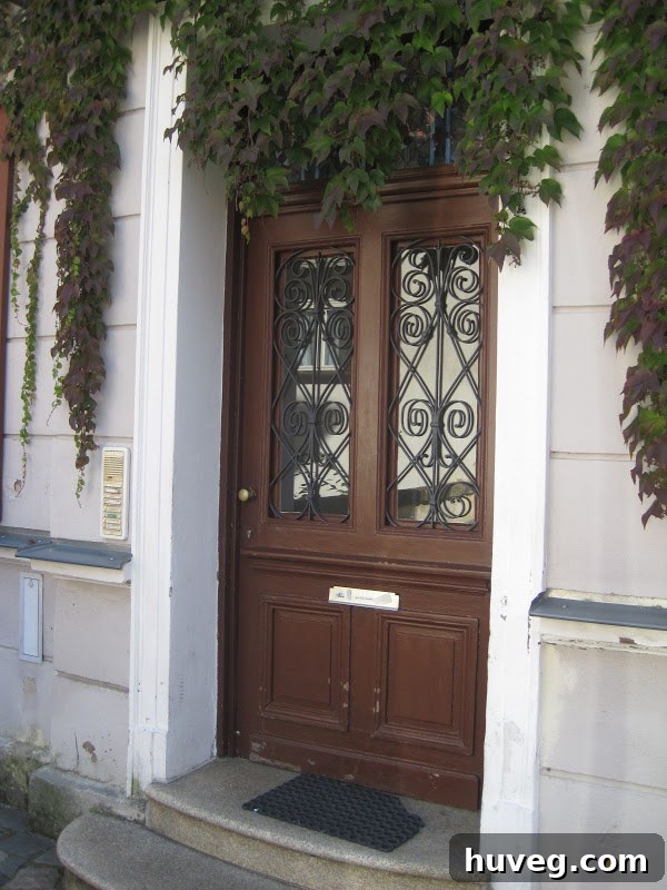 New Orleans - doors and ivy with scroll work