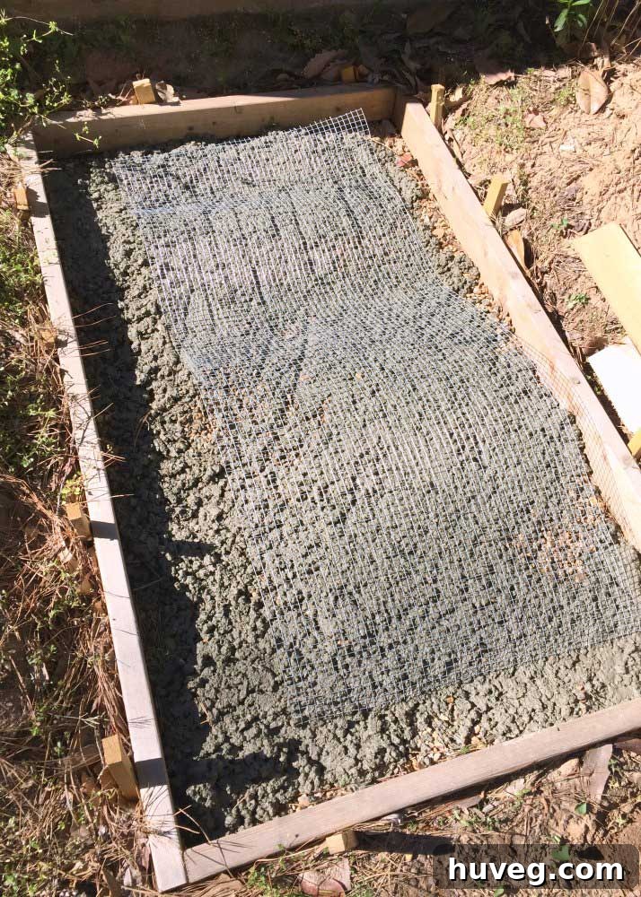 Adding wire mesh screen on the first layer of concrete for reinforcement