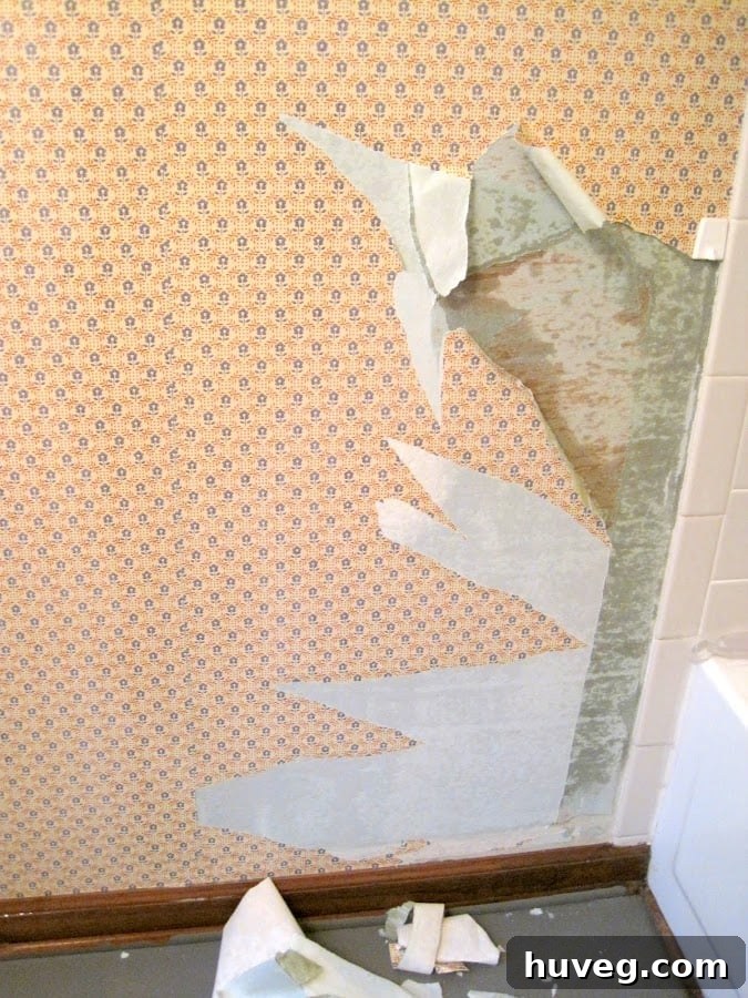 stripping wallpaper